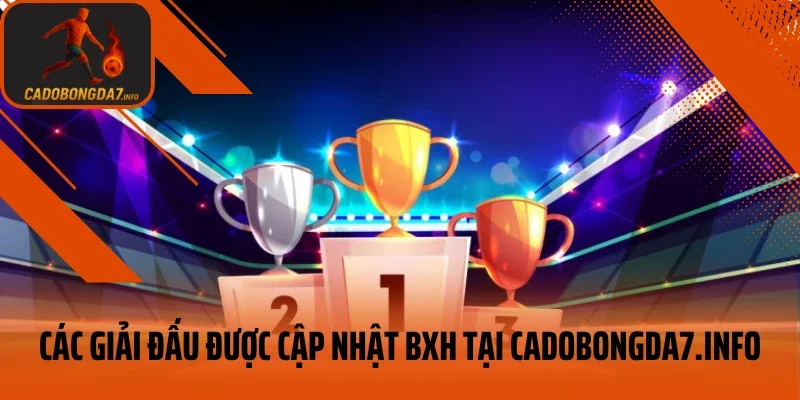 Các giải đấu được cập nhật bảng xếp hạng tại pinnshop.io