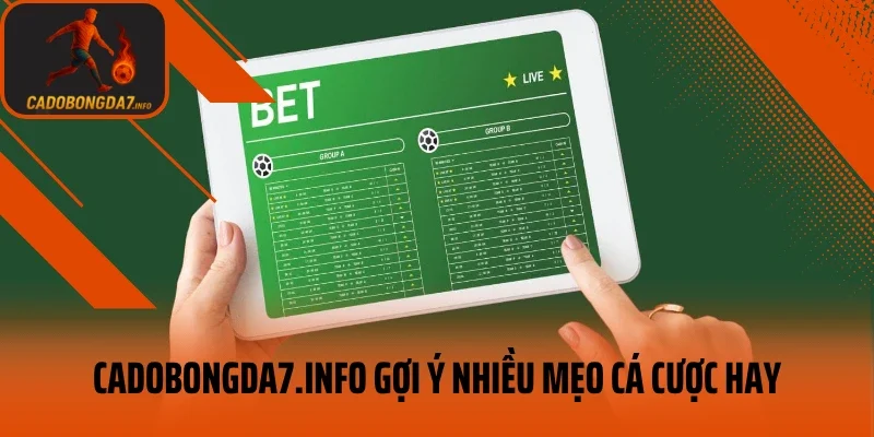 pinnshop.io gợi ý nhiều mẹo cá cược hay