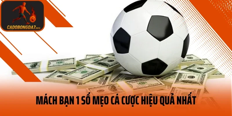 Mách bạn 1 số mẹo cá cược hiệu quả nhất