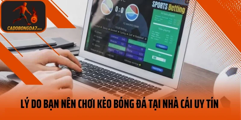 Những lý do bạn nên chơi kèo bóng đá tại nhà cái uy tín