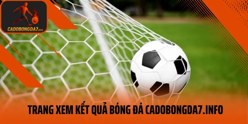 Thông tin cơ bản về trang xem kết quả bóng đá pinnshop.io
