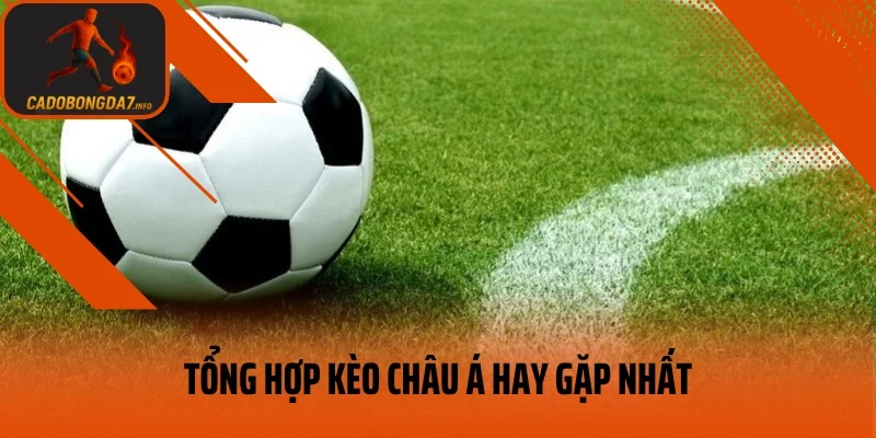 Tổng hợp kèo châu Á hay gặp nhất