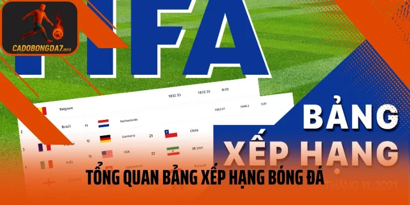 Tổng quan bảng xếp hạng bóng đá