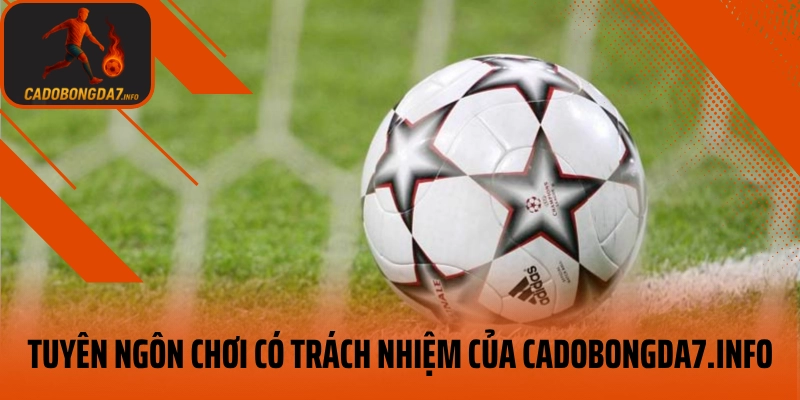 Tuyên ngôn chơi có trách nhiệm của pinnshop.io